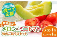 【 先行予約 】 数量限定 メロン&ミニトマトのセット (メロン1玉 2kg前後) (ミニトマト 1kg) ネット系メロン サンチェリー 品種おまかせ 果物 フルーツ ミニトマト夏野菜 熱中症対策 農家 農家直送 家庭用 福島県 田村市 田村 よしのや農園