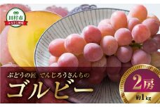 【 先行予約 2025年発送 】 ゴルビー 1kg 2房 冷蔵 高級 種無し 種なし ブドウ ぶどう シャインマスカット 巨峰 品種 果物 甘さ 大粒 家庭用 美味しい 食べ方 ランキング おすすめ 福島県 田村市 福島 ふくしま 鈴木農園 でんじろうさん
