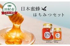 日本蜜蜂はちみつセット 220g 80g 蜂蜜 ハチミツ 健康 アレンジ レシピ 国産 効能 美容 栄養 福島県 田村市 MUQU