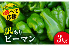 ＼先行予約 2025年発送／ 【訳あり】 ピーマン 3kg 農家直送 野菜 新鮮 BBQ 焼肉 国産 おすすめ 緊急支援品 生活応援 コロナ支援 福島県 田村市 福島 ふくしま 新田ファーム