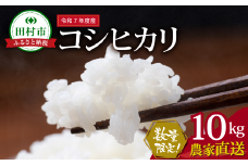 数量限定 ＼ 新米 先行予約開始！／ 【令和7年産】田村産 コシヒカリ 10kg ( 10kg(紙袋) × 1袋 ) 農家直送 お米 白米 精米したてを発送 贈答 米 コメ ご飯  単一米 精米 国産 おすすめ 生活応援 福島県 田村市 井堀利男