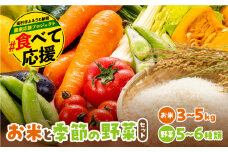 お米と季節の野菜セット  米 ひとめぼれ 3～5kg 野菜 5～6種類 採れたて 新鮮 農家直送 国産 ギフト 福島県 田村市 川向生産組合