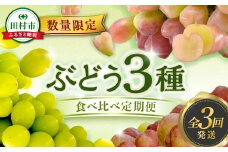 【先行予約 2025年発送】＼ぶどう3種食べくらべ定期便／ 3回発送 冷蔵 高級 種無し 種なし シャインマスカット ブドウ ぶどう 品種 果物 フルーツ 巨峰 美味しい 希少 人気 福島県 田村市 鈴木農園