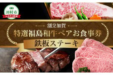 【ふるさと納税 限定】 特選福島牛A5ランク 鉄板ステーキ ペアお食事券 グルメ 福島県 田村市 割烹加賀