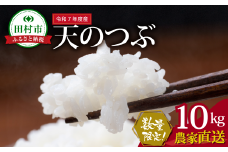 数量限定 ＼ 新米 先行予約開始！／ 【令和7年産】田村産 天のつぶ 10kg ( 10kg(紙袋) × 1袋 ) 農家直送 2025年10月下旬発送 お米 白米 精米したてを発送 贈答 米 コメ ご飯 単一米 精米 国産 おすすめ 生活応援 福島県 田村市 井堀利男
