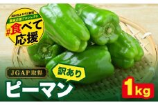 農家さん応援！ 【訳あり】 ピーマン 1kg JGAP取得 農家直送 冷蔵便 野菜 新鮮 BBQ 焼肉 国産 おすすめ 送料無料  緊急支援品 生活応援 コロナ支援 福島県 田村市 株式会社Mファーム