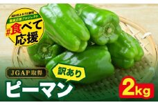 農家さん応援！ 【訳あり】 ピーマン 2kg JGAP取得 農家直送 冷蔵便 野菜 新鮮 BBQ 焼肉 国産 おすすめ 送料無料  緊急支援品 生活応援 コロナ支援 福島県 田村市 株式会社Mファーム