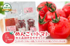 めんごいトマト加工品セット 5点 トマトカレー ドライトマト トマトピクルス めんごいとまとたむら アイメック栽培 トマト 加工品 詰め合わせ 福島県 田村市 堀越農園