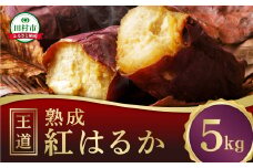 【先行予約】 熟成 さつまいも 5kg べにはるか 総重量  12月下旬より順次発送 焼き芋 紅はるか サツマイモ いも 芋 農家直送 国産 ギフト 人気 福島県 田村市 松や農園 