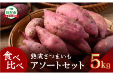 【先行予約】 さつまいも 5kg 種類いろいろ アソートセット 総重量 12月下旬より順次発送 紅はるか べにはるか シルクスイート 食べ比べ 食べくらべ セット お任せ 焼き芋 サツマイモ いも 芋 農家直送 国産 ギフト 贈答 プレゼント 人気 福島県 田村市 松や農園 