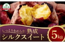 【先行予約】 熟成 さつまいも 5kg シルクスイート 総重量  12月下旬より順次発送 焼き芋 サツマイモ いも 芋 農家直送 国産 ギフト プレゼント 贈答 人気 福島県 田村市 松や農園 