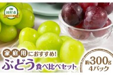 【先行予約】 ぶどう食べ比べパック 約300g×4パック (訳あり粒タイプ) 10月上旬より順次発送 粒パック シャインマスカット バイオレットキング 巨峰 ピオーネ マイハート ゴルビー クイーンニーナ 家庭用 オススメ 福島県 田村市 ふくしま 鈴木農園