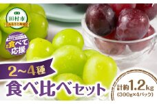【先行予約】 2～4品種のぶどう食べ比べパック 合計約1.2kg 約300g×4パック (訳あり粒タイプ) 10月上旬より順次発送 粒パック シャインマスカット バイオレットキング ピオーネ マイハート ゴルビー クイーンニーナ 家庭用 オススメ 福島県 田村市 鈴木農園