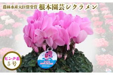 【先行予約】根本園芸  ピンク系 ガーデンシクラメン【5号】農林水産大臣賞受賞【1000401】