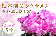 【先行予約】根本園芸 ピンク系   フリンジ  ガーデンシクラメン 【5号】 農林水産大臣賞受賞【1000601】