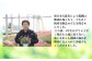 【先行予約】シクラメン 色おまかせ 5号鉢 | 花 お花 ギフト フラワーギフト 根本園芸