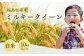 【先行予約】 ミルキークィンー 白米 10kg (5kg×2袋) ｜ 福島 福島県産 福島産 精米【149448-002-02】