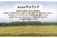 【先行予約】 ミルキークィンー 白米 10kg (5kg×2袋) ｜ 福島 福島県産 福島産 精米【149448-002-02】