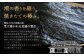 訳あり　訳アリ　ご家庭用　キズのり　全形15枚×３パック