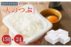 パックごはん 150g×24個 天のつぶ パックライス パックご飯 レンチン ブランド米 米 白米 精米 時短 ご飯 ライス 備蓄 防災 福島県南相馬産