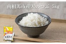 【先行予約】 令和7年産 南相馬市産「天のつぶ」５kg ふくしま未来農協 JA 精米 白米 コメ ごはん ブランド米 大粒 南相馬 福島 オリジナル 品種 福島県産 お取り寄せ 炊き立て おかゆ カレー 送料無料 ふるさと納税 オンライン申請【2200101】