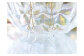 iriser（イリゼ）ていてつ ピアス