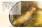 冷凍で美味しさそのままの天丼30食セット(5種×6食分)