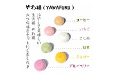 生大福　やわ福　アソート20個入り【0103601】
