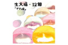生大福　やわ福　アソート12個入り【0103701】