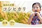 先行予約 コシヒカリ 白米 10㎏ (5㎏×2袋) ｜ 福島 福島県産 福島産 精米 令和7年産 【149448-001-02】