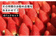 【数量限定】伊賀いちご園のおまかせ4P（280g/パック×4パック） - イチゴ ストロベリー strawberry【1800901】