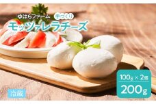 手作りモッツァレラチーズ　福島　南相馬市産【6100101】