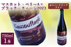 マスカット・ベリーA×ブラック・クィーン2023　赤スパークリングワイン【64007】