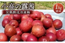 小高の露茜(完熟熟成冷凍梅)　　　1Kg詰め【67001】