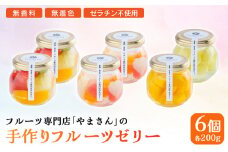 手作り フルーツゼリー 6個セット | ギフト 高級 贈答用 お中元 お歳暮 無香料 無着色 ゼラチン不使用 フルーツ専門店「 やまさん 」【71002】