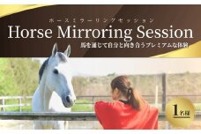 ホースミラーリングセッション  1名様 ｜ 乗馬 馬とのふれあい 研修 自己研鑽 自己内省 チームビルディング【148563-001】