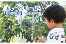 ブルーベリーパーク ぴぽぱ ペアチケット ｜ ブルーベリー 狩り 2名 体験 入園券 無料券 夏季限定 【121237-001】