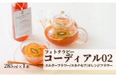 フィトテラピー コーディアル 02 285ml×1本 | ハーブ ヴァンルージュ エルダーフラワー エキナセア オレンジフラワー やまさん  【133715-001-02】