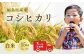 先行予約 コシヒカリ 白米 15㎏ (5㎏×3袋) ｜ 福島 福島県産 福島産 精米 令和7年産 【149448-001-03】