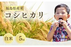 【先行予約】 コシヒカリ 白米 5㎏ ｜ 福島 福島県産 福島産 精米 令和7年産  令和7年産米 武田ファーム サムランド【149448-001-01】