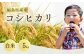 先行予約 コシヒカリ 白米 5㎏｜ 福島 福島県産 福島産 精米 令和7年産 【149448-001-01】