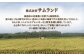 先行予約 コシヒカリ 白米 5㎏｜ 福島 福島県産 福島産 精米 令和7年産 【149448-001-01】
