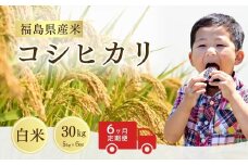 【先行予約】 【定期便】コシヒカリ 白米 30㎏ (5㎏×6回) ｜ 福島 福島県産 福島産 精米 令和7年産  令和7年産米 武田ファーム サムランド【149448-001-04】