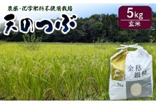 　【先行予約】天のつぶ 玄米5kg 有機的栽培 令和7年産 | 無農薬 農薬不使用 化学肥料不使用 福島産 福島県産 南相馬 みさき未来