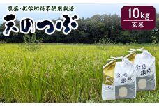　【先行予約】天のつぶ 玄米 10kg 有機的栽培 令和7年産 | 無農薬 農薬不使用 化学肥料不使用 福島産 福島県産 南相馬 みさき未来