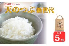 【先行予約】新米 天のつぶ「新世代」 白米 5kg | 令和7年産 2025年産 米5kg 精米 米5キロ ごはん 福島県産 南相馬 福島 紅梅夢ファーム