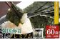 韓国海苔 プレミアム 480枚 60袋(6袋×10個) | 韓国のり 韓国ノリ 海苔 ノリ 詰め合わせ 小分け 個包装