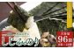 しじみのり 576枚 96袋(8袋×12個) | 味付け海苔 味付けのり のり 海苔 おかず おにぎり