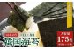 韓国はねのり 訳あり 全形175枚(35枚×5袋) | 韓国のり 韓国ノリ 海苔 ノリ 詰め合わせ 訳アリ はねのり きずのり