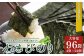 わさびのり 768枚 96袋(4袋×24個) | 味付け海苔 味付けのり のり 海苔 おかず おにぎり